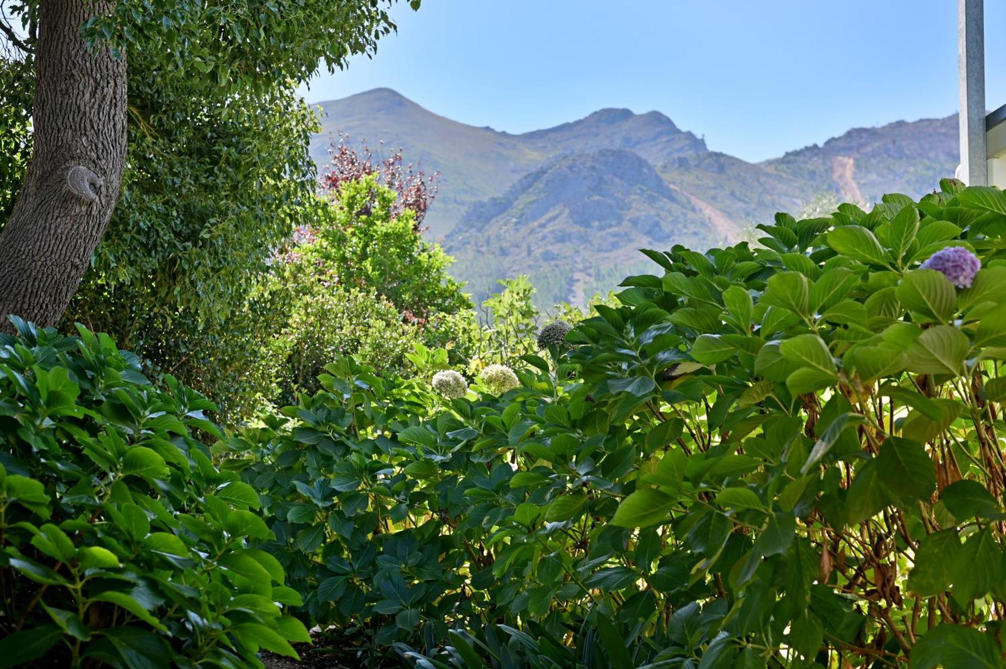 Fransvliet Guest House Franschhoek Exteriér fotografie
